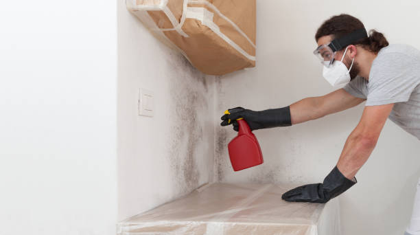 Professional Bathroom Mold Removal technician working in Wallops Island, VA